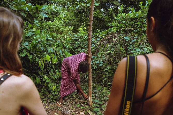 Full Day Trip to Stone Town, Spice Farms and Prison Island - Walking through the spice farm