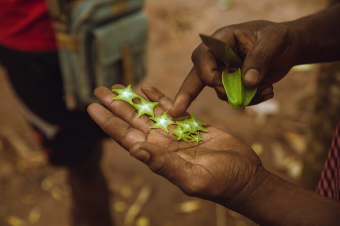Full Day Trip to Stone Town, Spice Farms and Prison Island - Should you book it?
