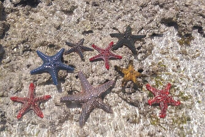 Fullday trip to Pungume and Uzi Island for Snorkeling and more - Boat comfort, communication, and safety
