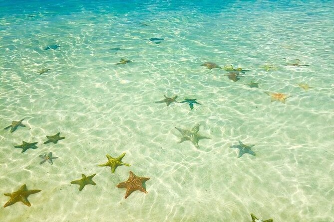Fullday trip to Pungume and Uzi Island for Snorkeling and more - Who should book this day on the water?