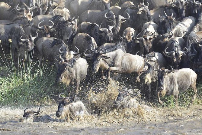 Great Migration Safari In Tanzania - Day 1: Kilimanjaro Airport to Karatu