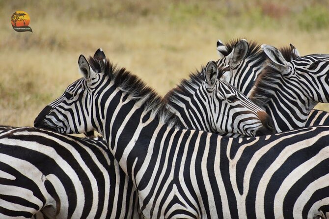 Group Safari 7 Days in Tanzania's Main Parks - Day 7: Market time and airport transfer