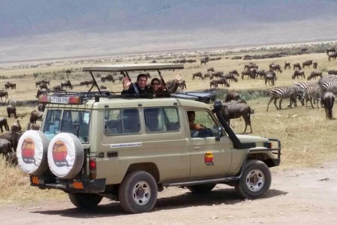 Group Safari 7 Days in Tanzania's Main Parks - What the $3,000 price includes