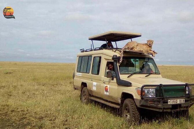Group Safari 7 Days in Tanzania's Main Parks - Day 1: Getting your bearings in Arusha