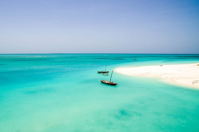 Half-Day Dolphin & Snorkeling Tour in Mnemba Island Zanzibar - What the Mnemba morning is really about