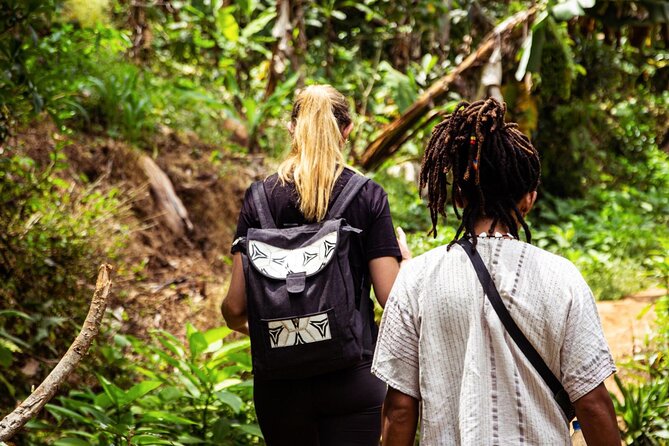 Half-Day Private Tour to Materuni Waterfalls and Coffee excursion - Looking over Moshi and hoping for Kilimanjaro
