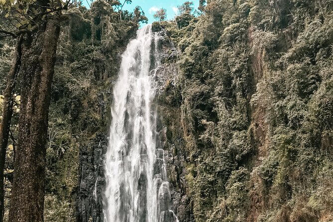 Half-Day Private Tour to Materuni Waterfalls and Coffee excursion - Learning coffee from the farm to your cup