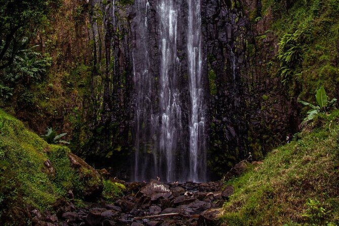 Half-Day Private Tour to Materuni Waterfalls and Coffee excursion - Timing, pickup, and group size