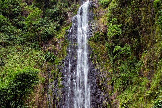 Half-Day Private Tour to Materuni Waterfalls and Coffee excursion - Who should book this Materuni tour