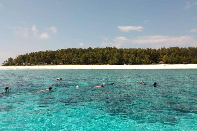 Half Day Zanzibar Mnemba Atoll Marine Reserve Snorkeling Tour - Key points to know before you book