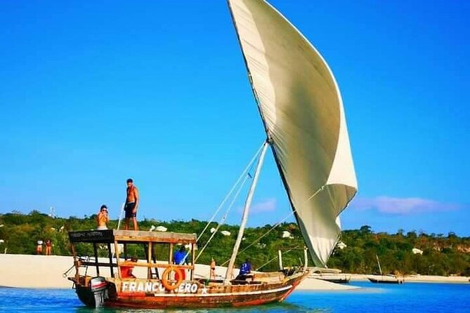 Half Day Zanzibar Mnemba Atoll Marine Reserve Snorkeling Tour - Who will enjoy this Mnemba outing