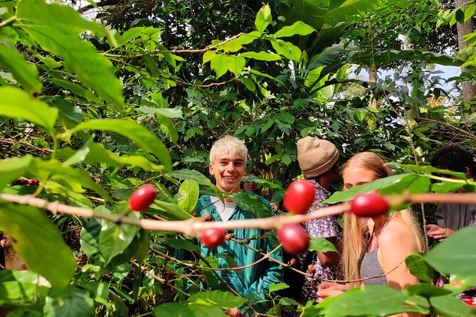 Hidden Arusha Waterfall, Coffee & Village Tour (All-Inclusive) - Why stop in Arusha before safari?