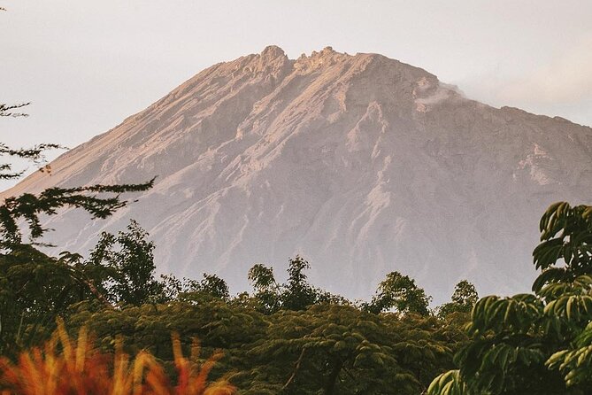Hidden Arusha Waterfall, Coffee & Village Tour (All-Inclusive) - What the private format really adds