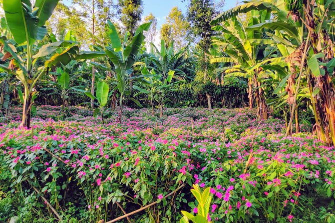 Hidden Arusha Waterfall, Coffee & Village Tour (All-Inclusive) - Who should book this Mount Meru outing?