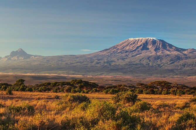 Hiking Mt Kilimanjaro 7 days scenic route & moderate challenge - Day 3: Lava Tower gives you altitude practice