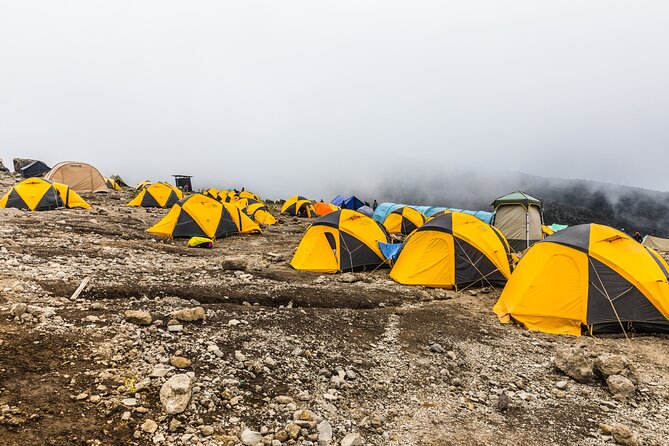 Hiking Mt Kilimanjaro 7 days scenic route & moderate challenge - Day 4: The Barranco Wall and the Karanga Valley