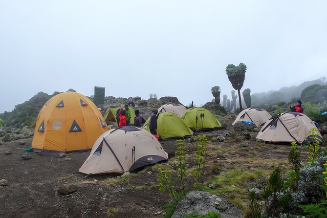 Hiking Mt Kilimanjaro 7 days scenic route & moderate challenge - Day 6: Stella Point, Uhuru Peak, and the long descent
