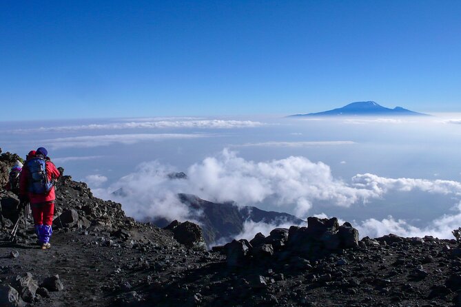 Hiking Mt Kilimanjaro 7 days scenic route & moderate challenge - Day 7: Forest descent, certificates, and a mountain farewell