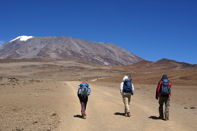 Hiking Mt Kilimanjaro 8 days, the most scenic route up Kili - Why the Lemosho route works so well
