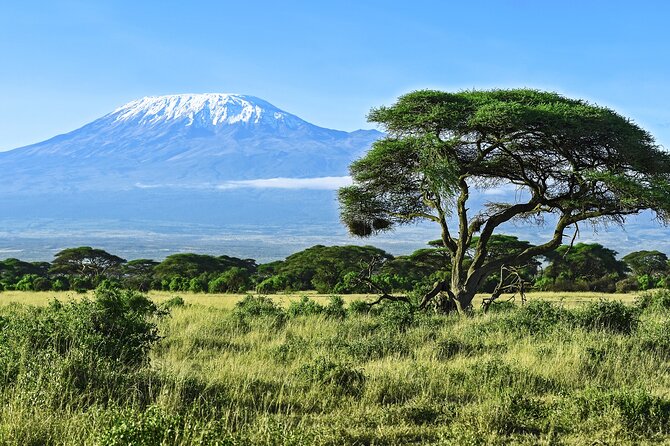 Hiking Mt Kilimanjaro 8 days, the most scenic route up Kili - Day 7: Stella Point, Uhuru Peak, and the long descent