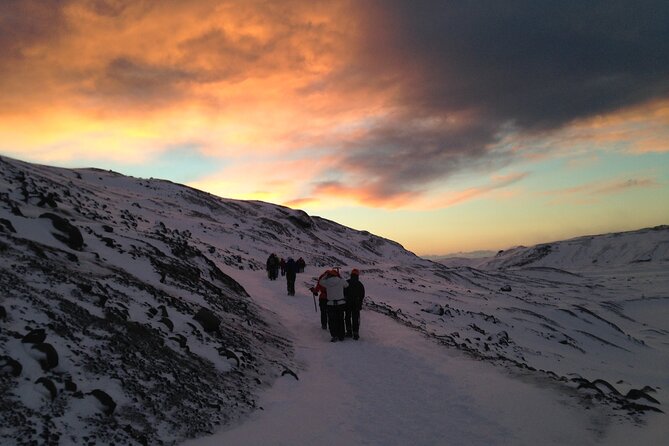 Hiking Mt Kilimanjaro 8 days, the most scenic route up Kili - Day 2: Leaving the forest for Shira One