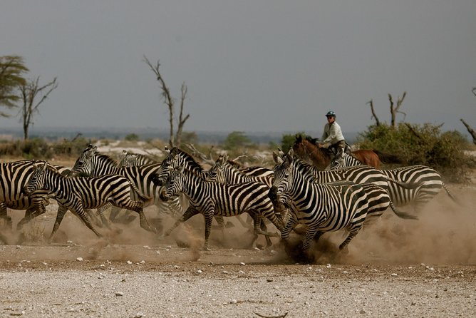 Horse safaris in Tanzania - Riding into Dolly Wildlife Estate from Arusha