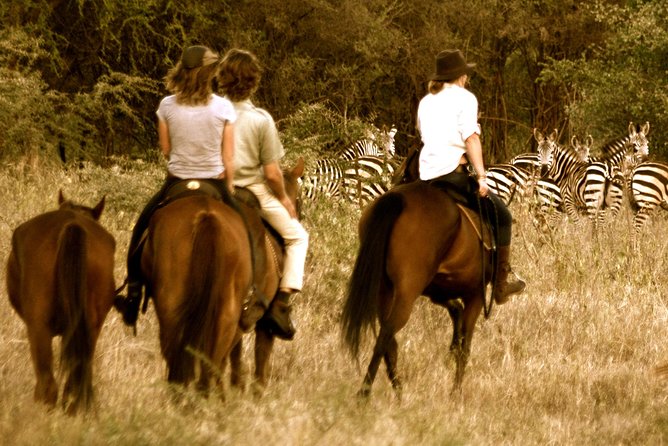 Horse safaris in Tanzania - A gentle two-hour ride for first-time riders