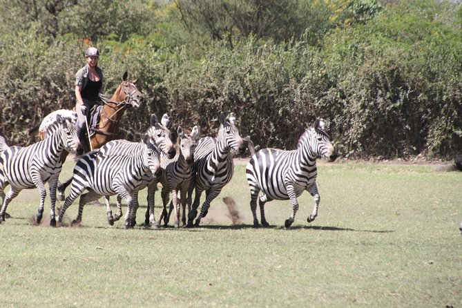 Horse safaris in Tanzania - What the two-hour itinerary feels like