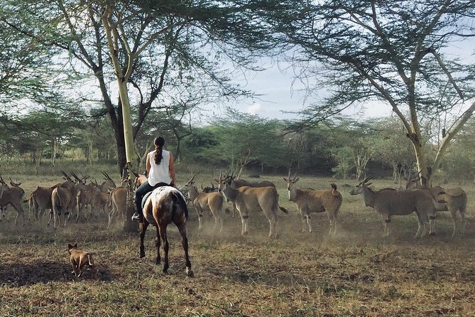 Horse safaris in Tanzania - Who should book this Arusha horse safari?