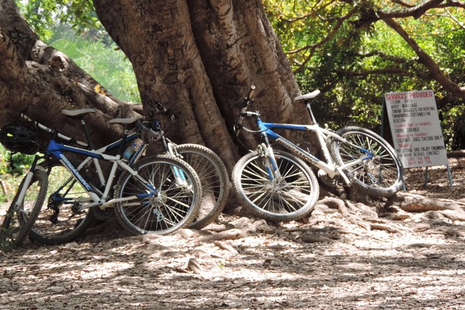 Hot Springs Bike tour - What the $145 price includes