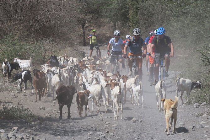 Hot Springs Bike tour - Arriving at Kikuletwa Hot Springs