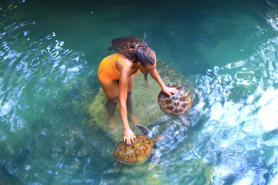 Joazani forest & Spice farm with lunch - From forest paths to a working spice farm