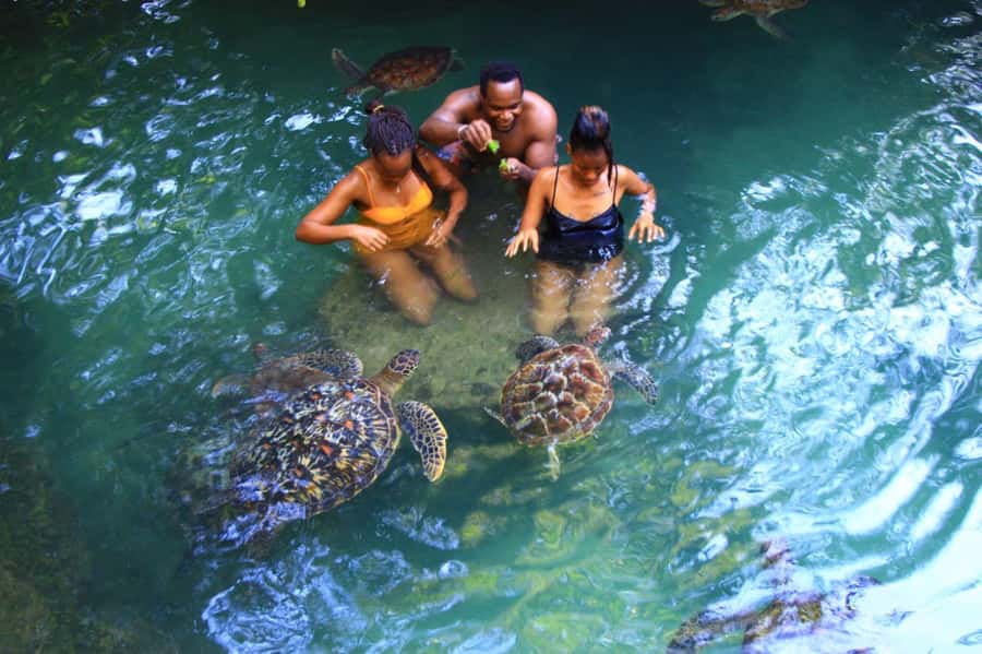 Joazani forest & Spice farm with lunch - Who should book this experience
