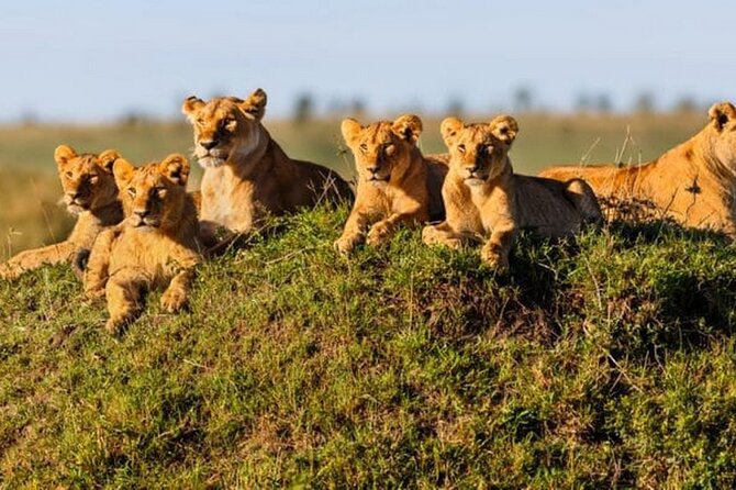 Joining Safari from Mwanza - Why this short safari works from Mwanza