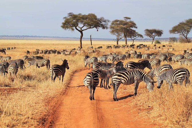 Joining Safari from Mwanza - Meals and what the $920 price buys