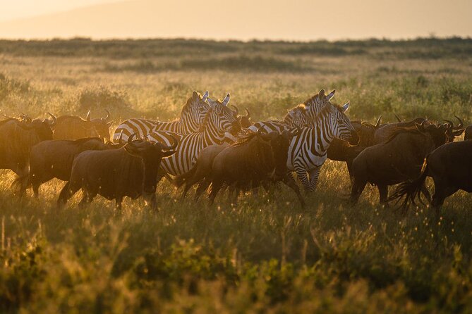 Joining Safari from Mwanza - What you may see beyond the Big Five