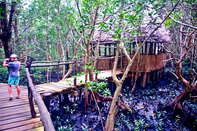 Jozani Forest - Starting at the Red Stage near Red Monkey Beach Lodge