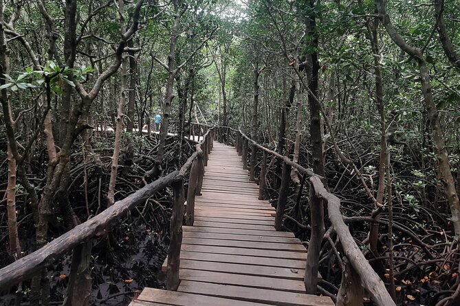 Jozani Forest, Kuza Cave, Paje Beach and The Rock Restaurant - The Rock Restaurant and the famous offshore view