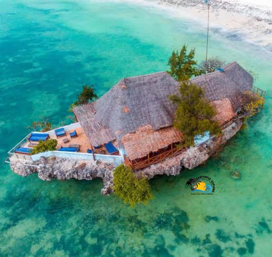 Jozani Forest, Kuza Cave, Salaam Caves & The Rock Restaurant - Key points to know before booking