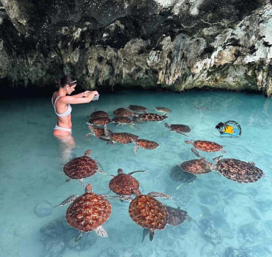 Jozani Forest, Kuza Cave, Salaam Caves & The Rock Restaurant - A full day built around Zanzibar’s contrasts