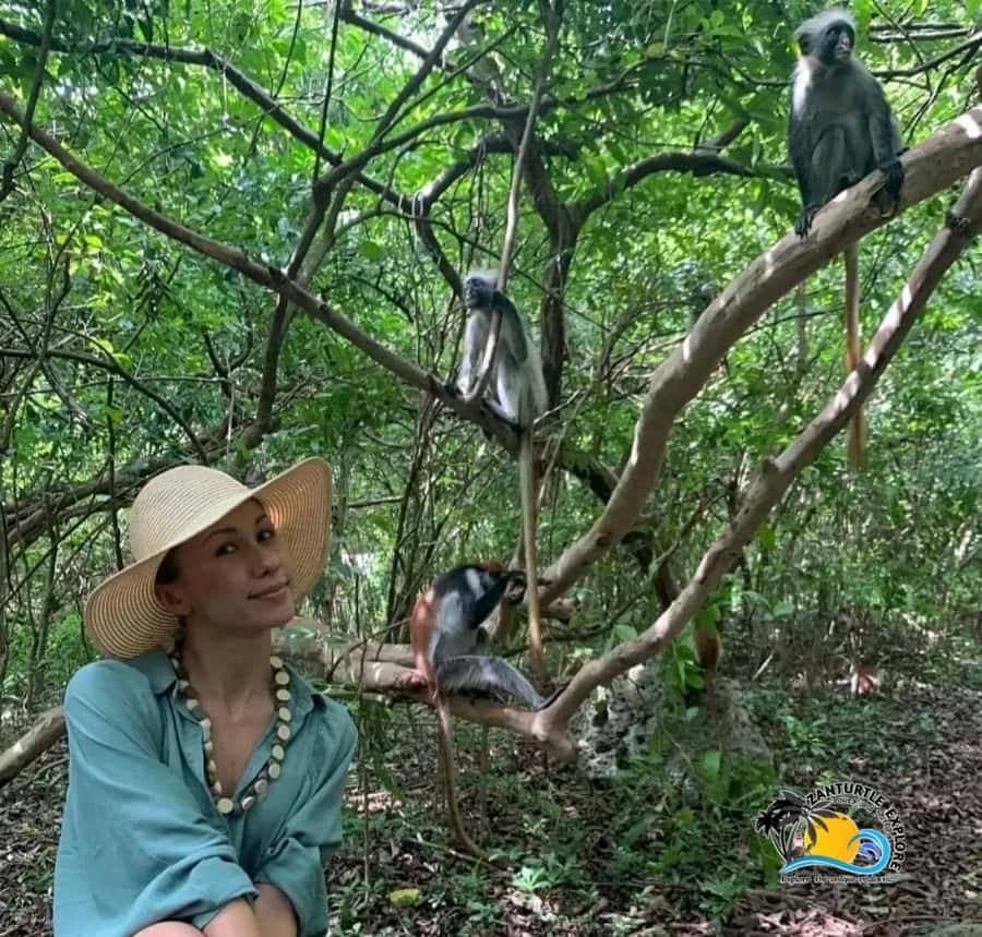 Jozani Forest, Kuza Cave, Salaam Caves & The Rock Restaurant - Jozani Forest and the Red Colobus search
