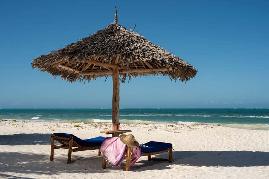Jozani Forest & Paje Beach Trip with The Rock Restaurant - Jozani Forest and Zanzibar’s Red Colobus Monkeys