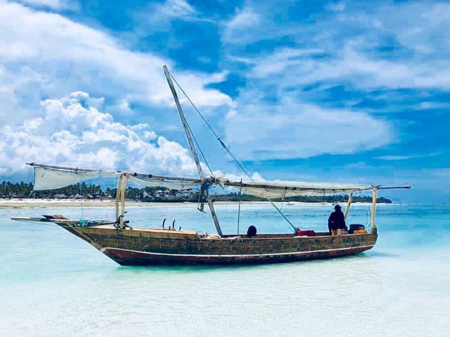 Jozani Forest & Paje Beach Trip with The Rock Restaurant - Planning your day around food and clothing