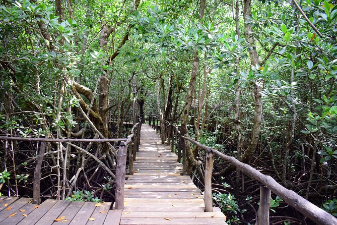 Jozani Forest Tour - Finding the Zanzibar Red Colobus Monkey