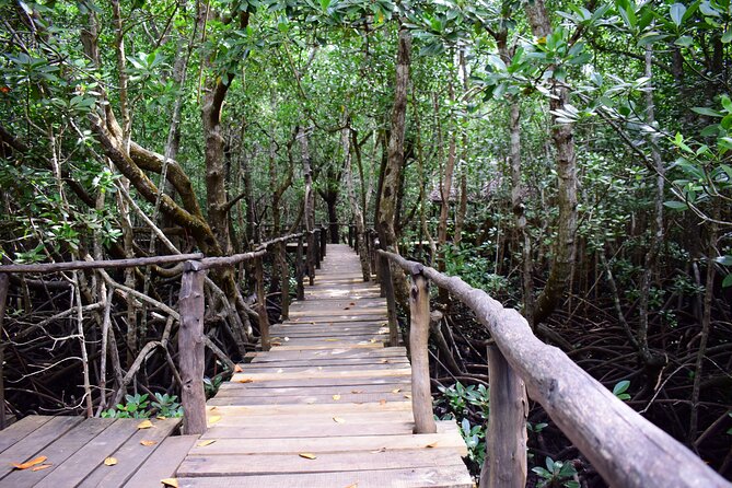 Jozani Forest Tour - Crossing the Mangrove Boardwalk