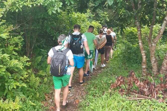 Jozani Forest Tour - The Drive From Stone Town to the Park