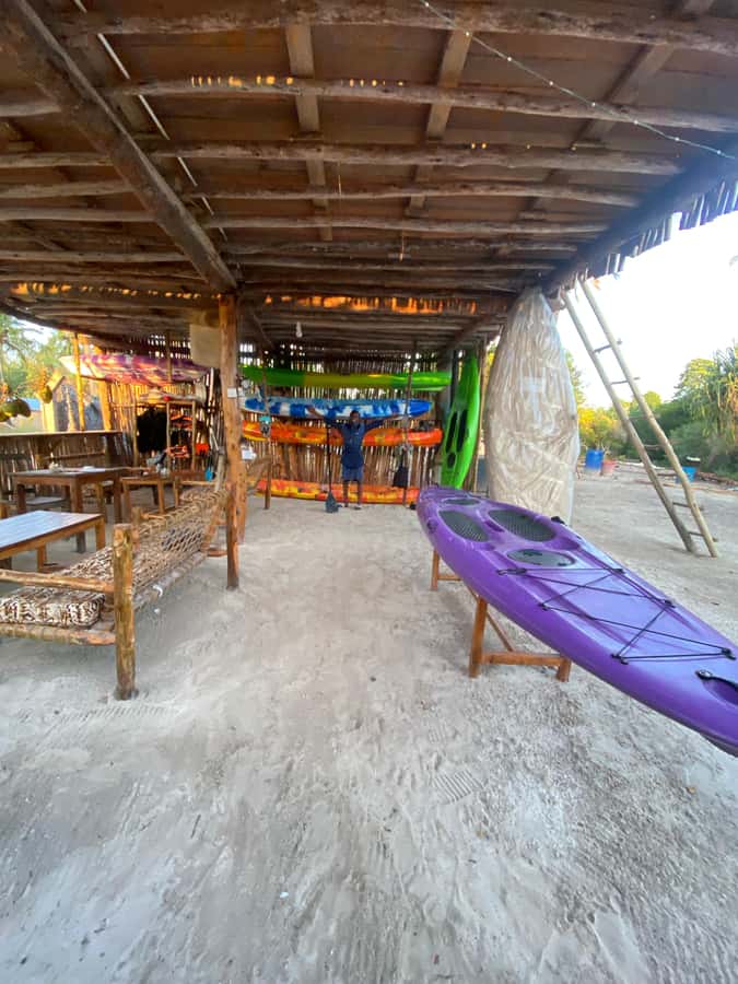 Kayak Mangrove Tour - What $45 Buys You
