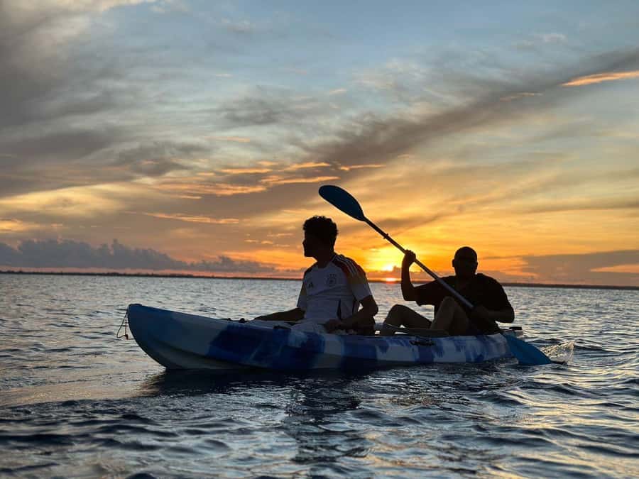 Kayak Mangrove Tour - A Two-Hour Route With a Simple Plan
