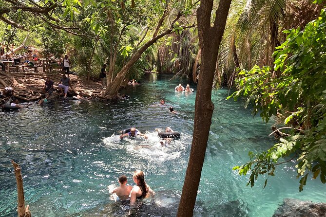 Kikuletwa Chemka Hot Springs Bicycle or Tuk Tuk Day Trip - Key points to know before booking