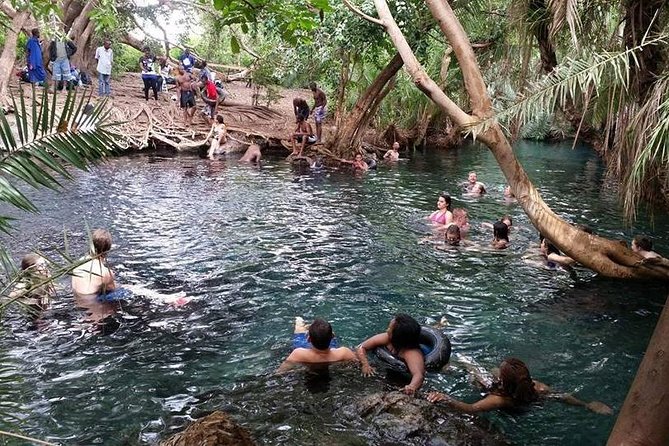 Kikuletwa (Chemka) Hot Springs Day Tour - Lunch beneath the trees